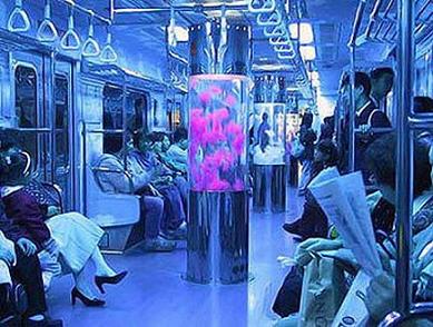neon subway silly train ride